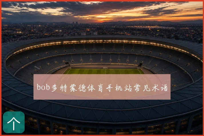 bob多特蒙德体育手机站常见术语