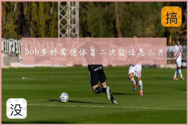 bob多特蒙德体育二次验证怎么开